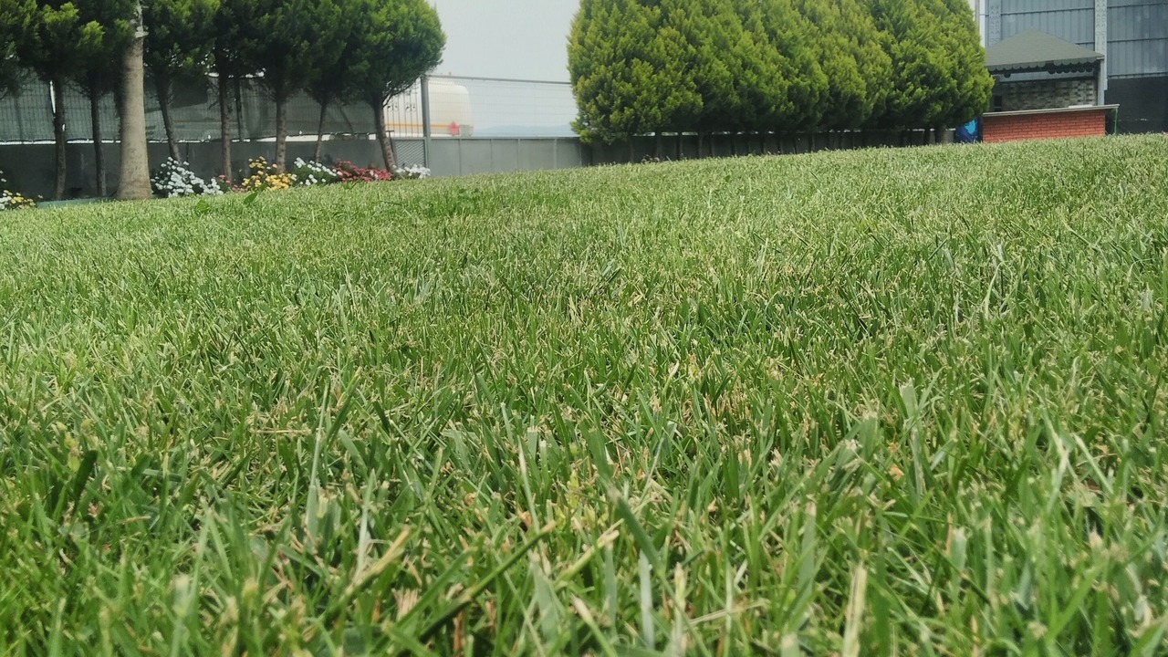 Photo of Outdoor in Soma