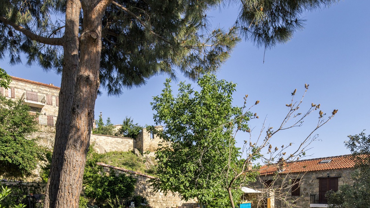 Photo of Outdoor in Adatepe