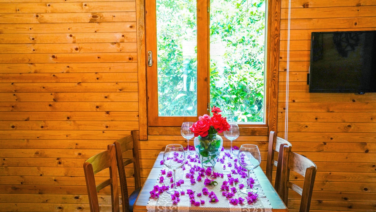 Photo of Bedroom in Ortaca