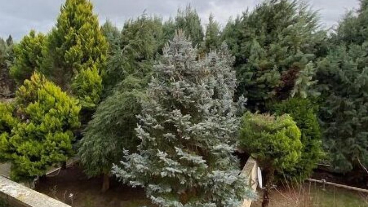 Photo of Outdoor in Silivri