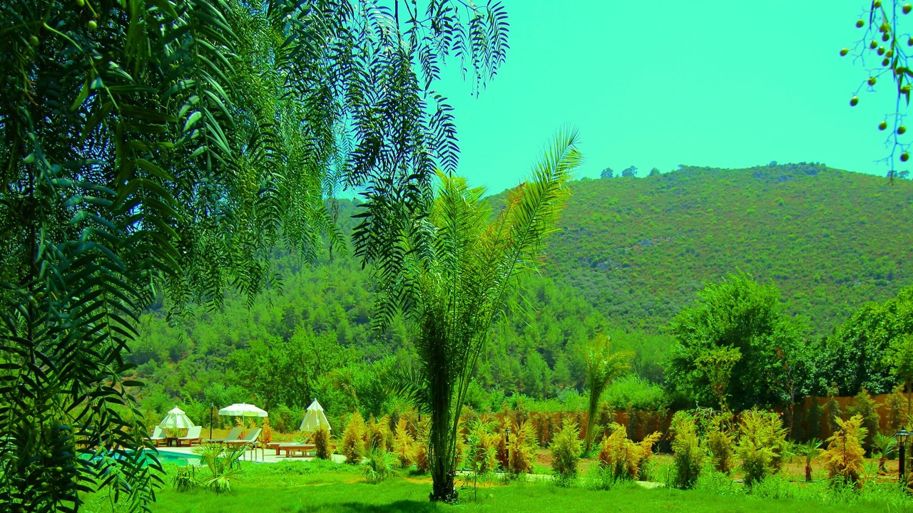 Photo of Outdoor in Fethiye