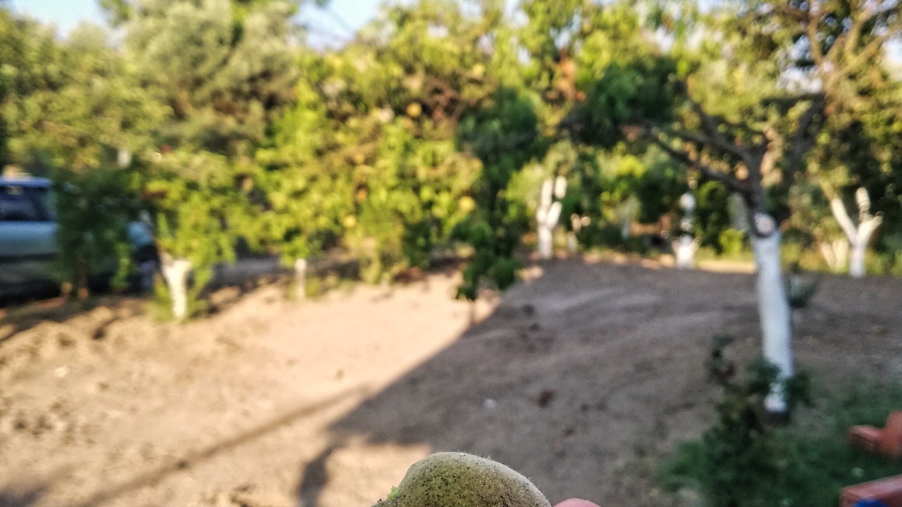 Photo of Outdoor in Dalaman