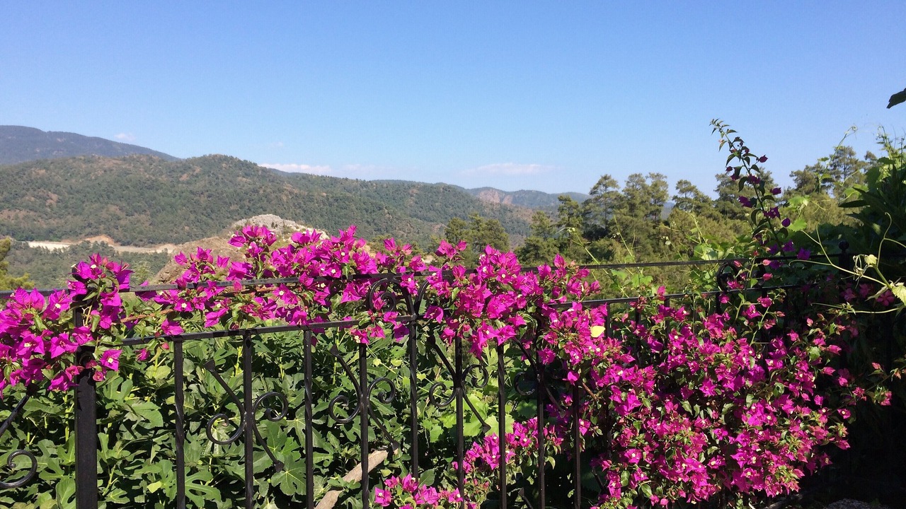 Photo of Outdoor in Marmaris