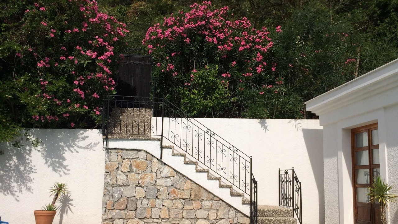Photo of Others in Marmaris