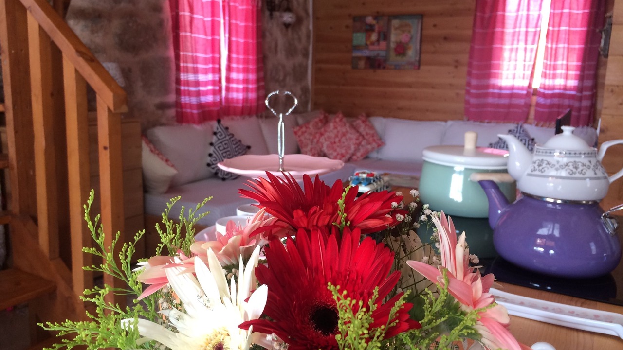 Photo of Livingroom in Sarıbelen