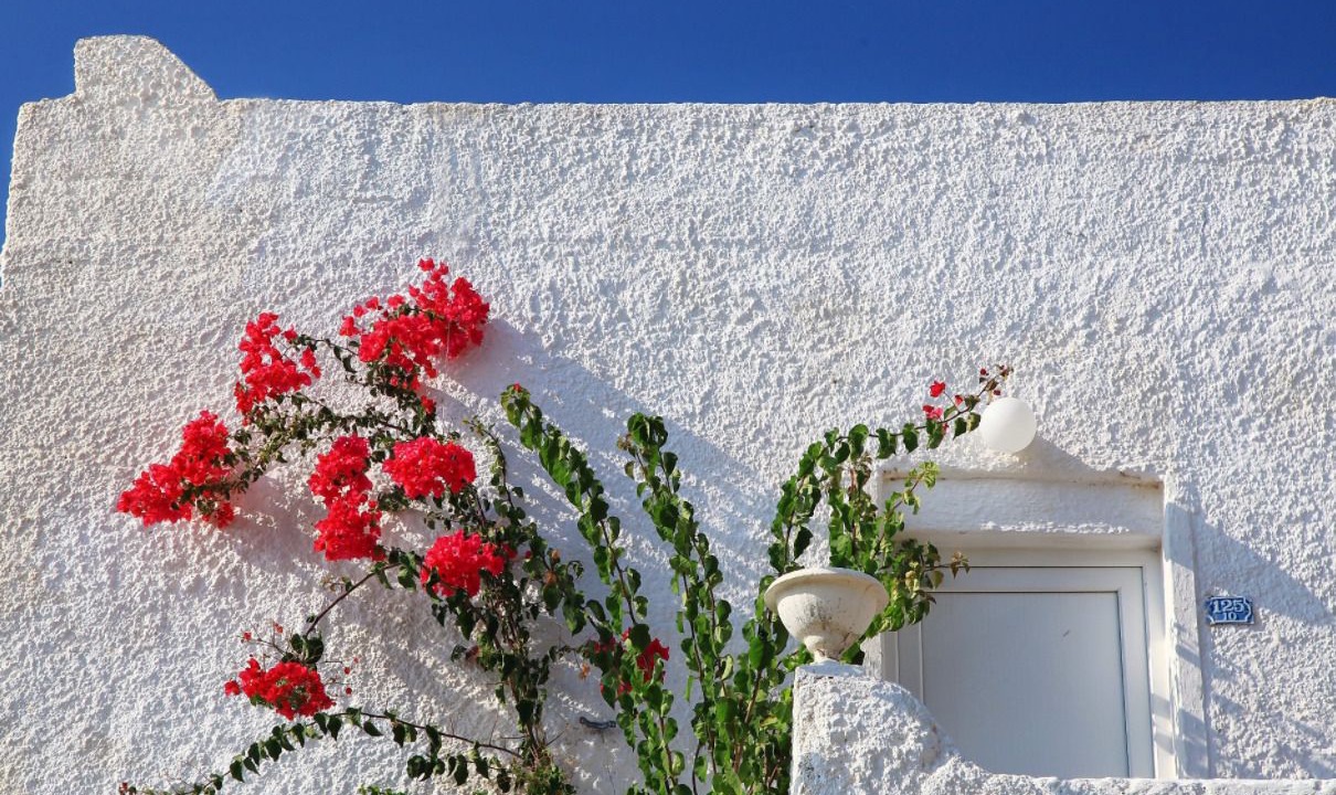 Photo of Outdoor in Turgutreis