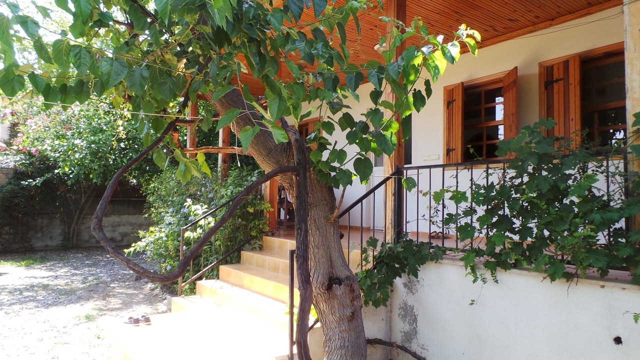Photo of Others in Dalyan