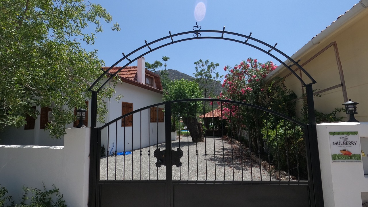 Photo of Others in Dalyan