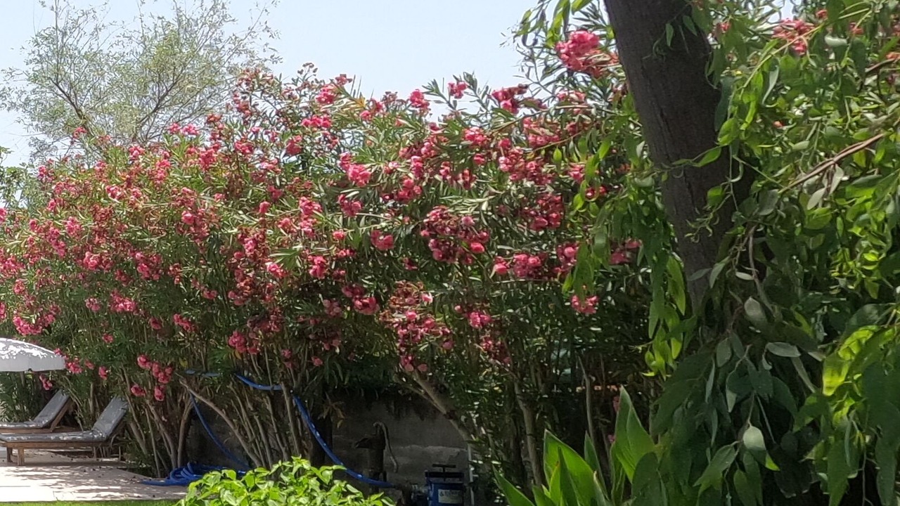 Photo of Outdoor in Dalyan