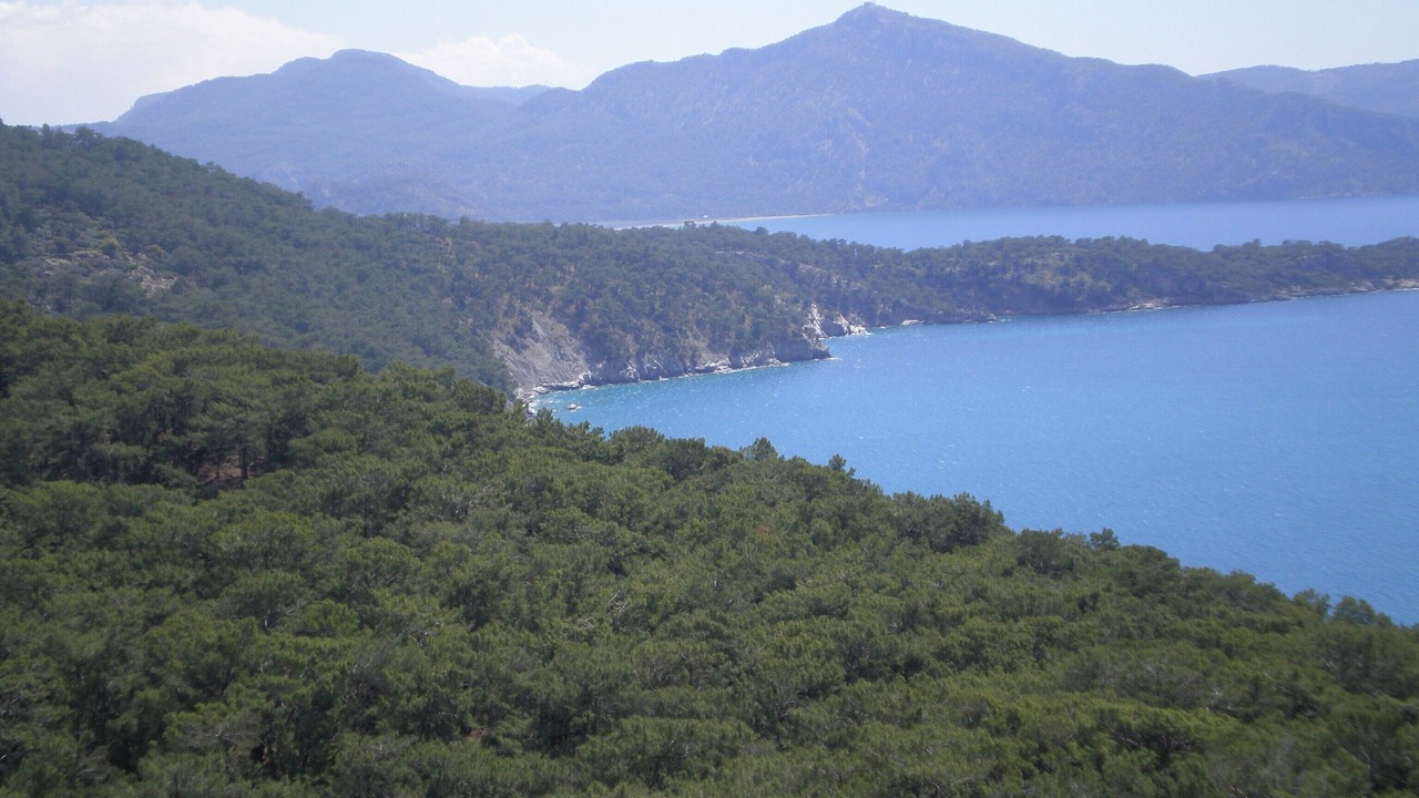 Photo of Others in Dalyan