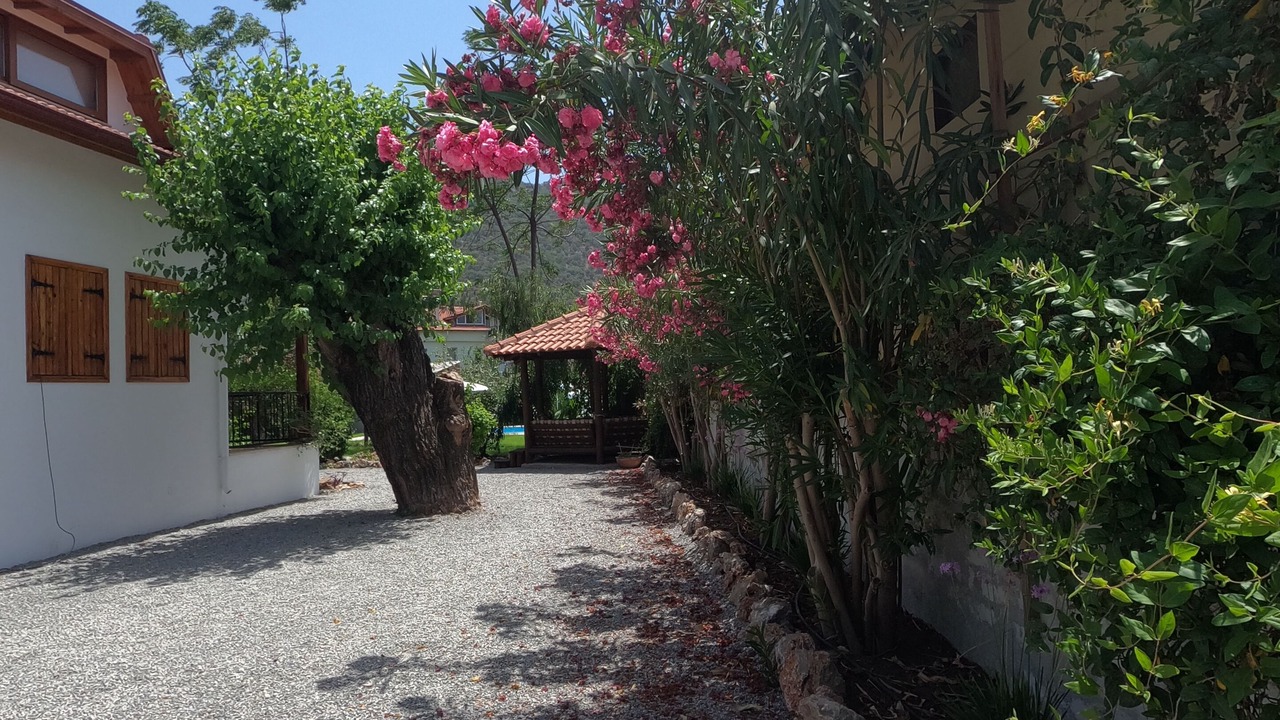 Photo of Others in Dalyan