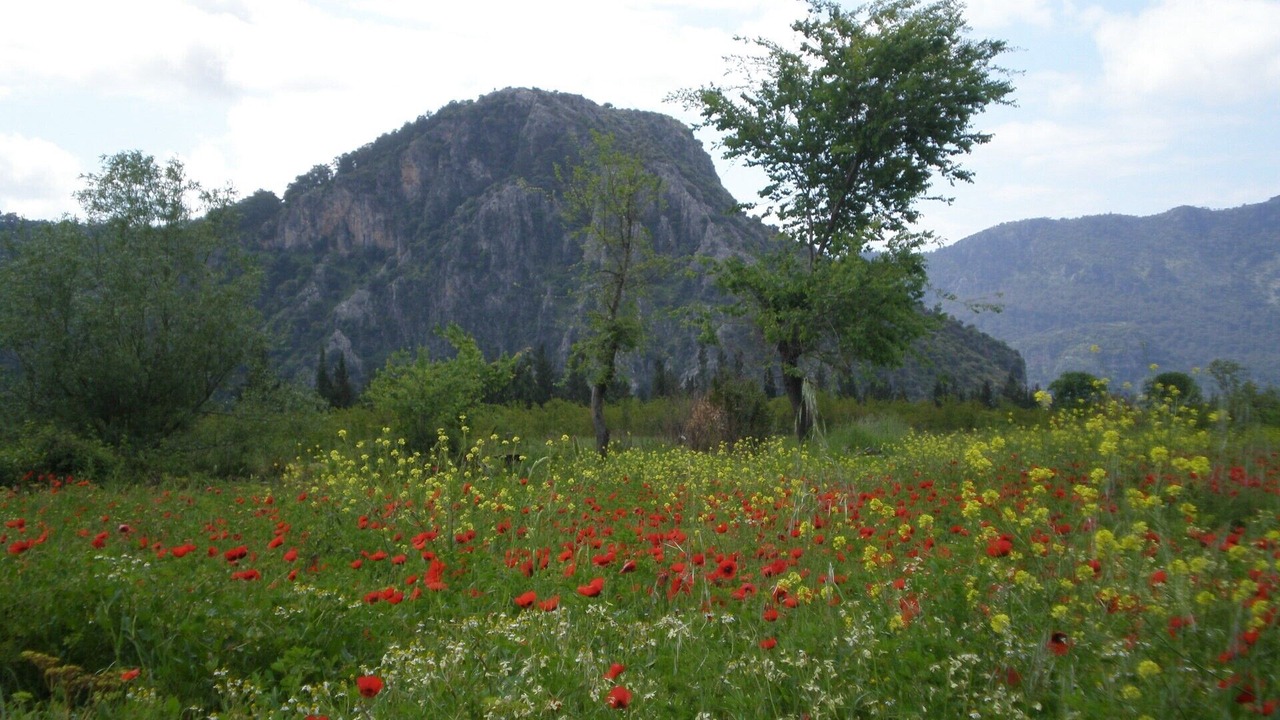 Photo of Others in Dalyan