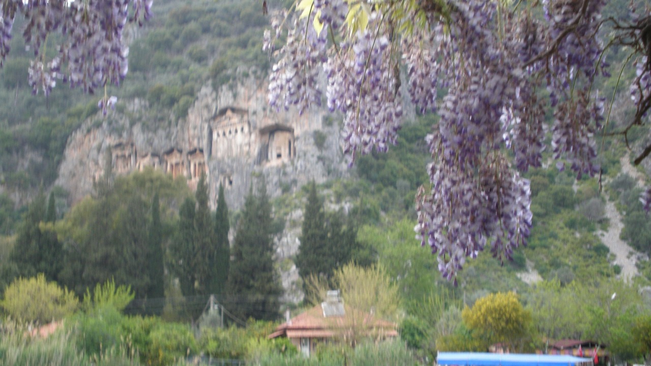 Photo of Others in Dalyan