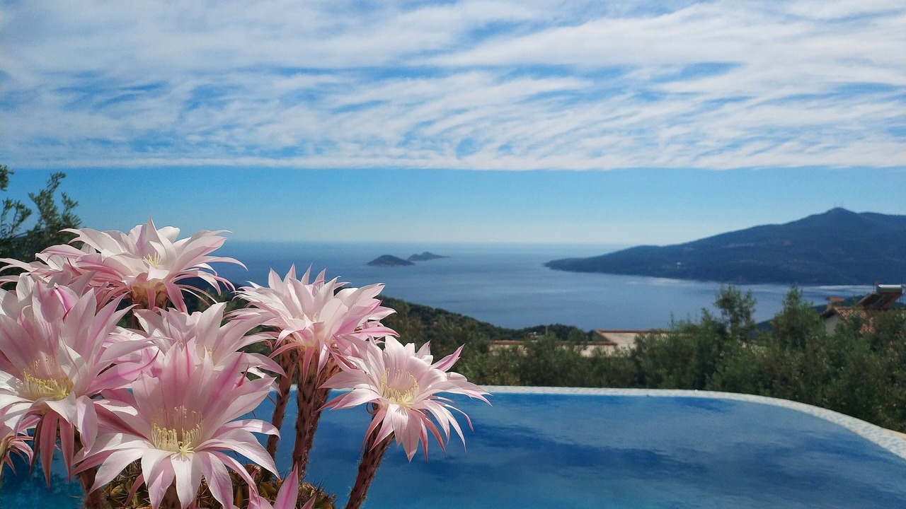 Photo of Outdoor in Kalkan