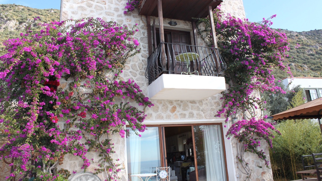 Photo of Outdoor in Kalkan