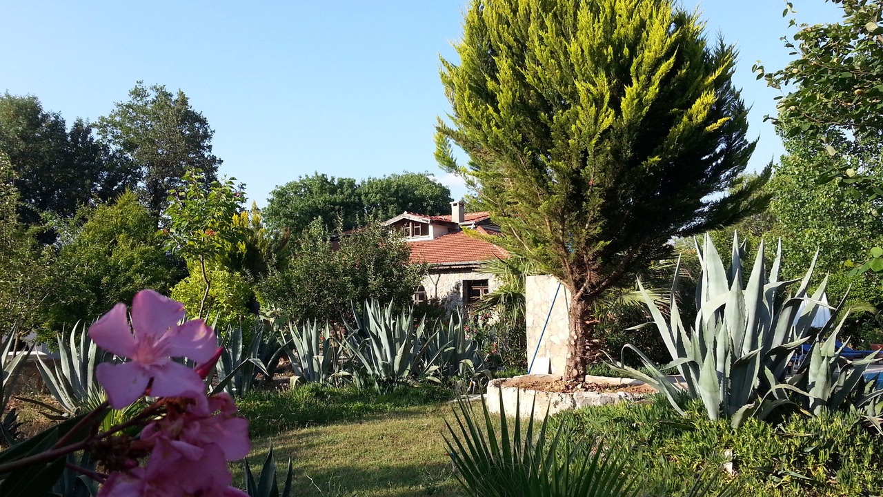 Photo of Outdoor in Fethiye