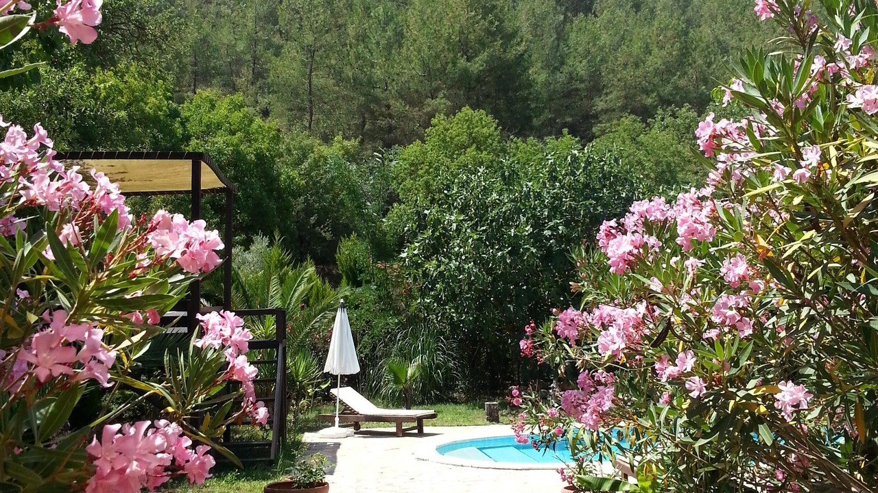 Photo of Others in Fethiye