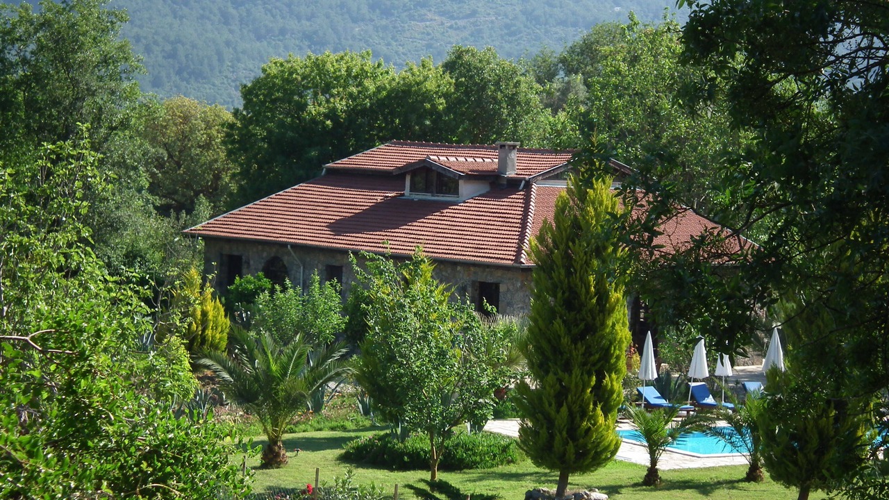 Photo of Others in Fethiye