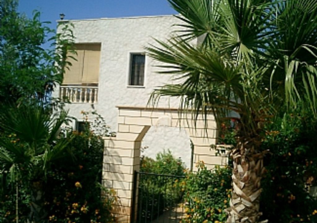 Photo of Others in Kalkan