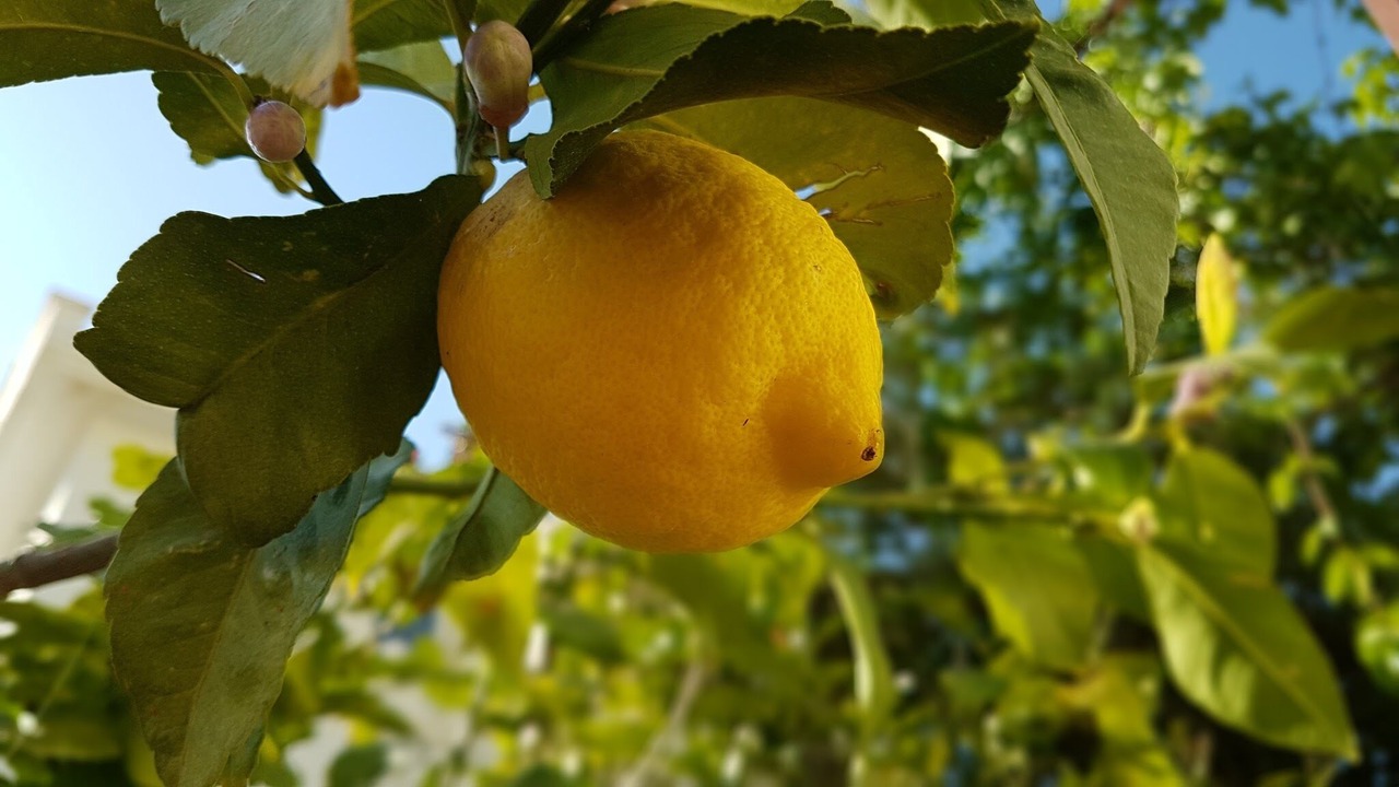 Photo of Outdoor in Oludeniz