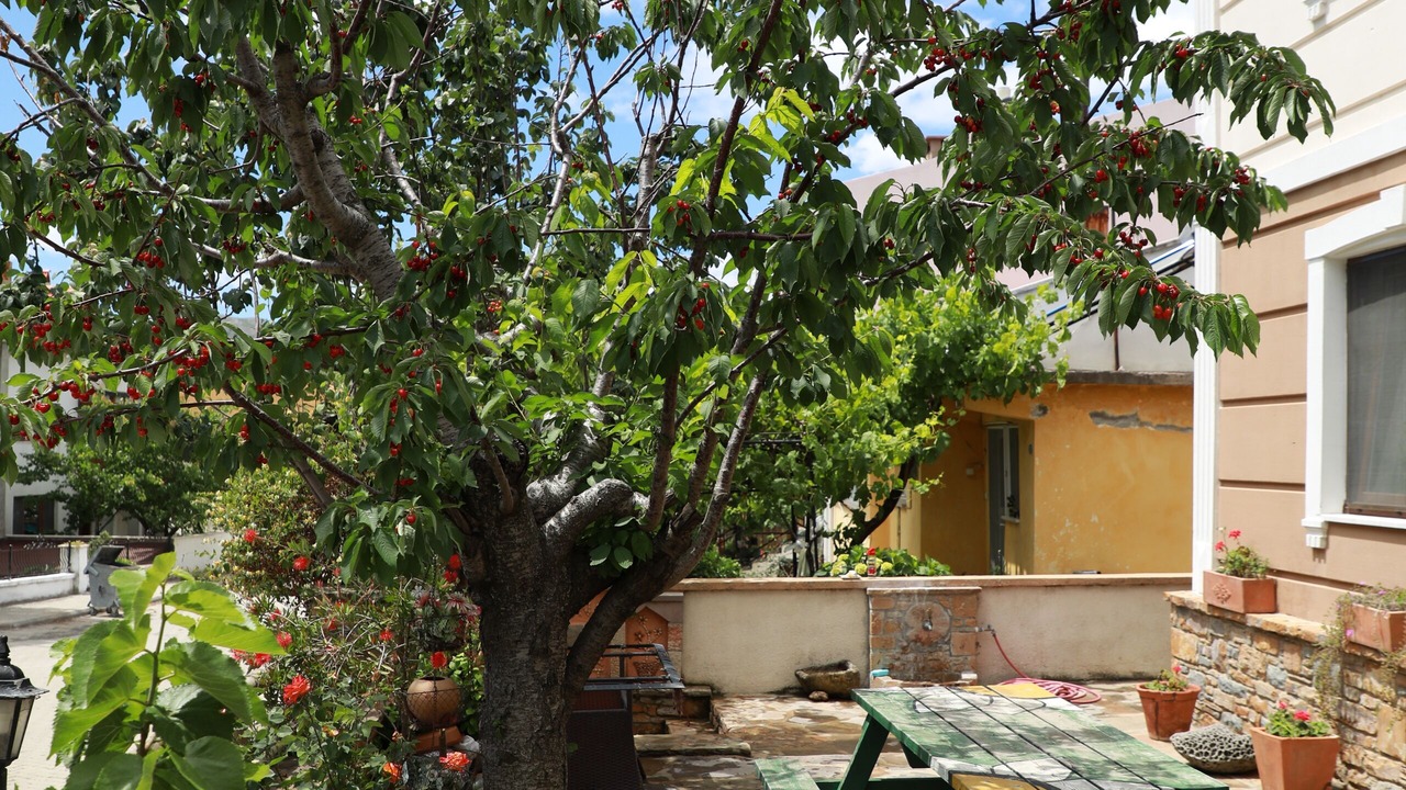 Photo of Outdoor in Gokceada