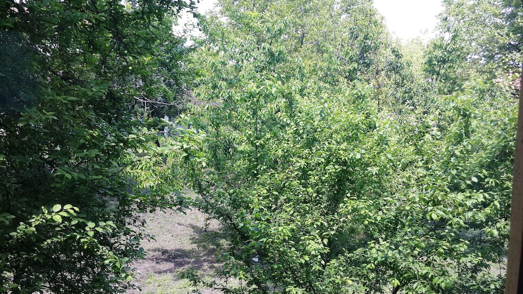Photo of Others in Yanik