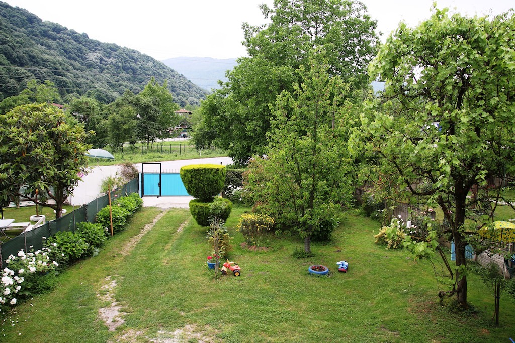 Photo of Others in Yanik
