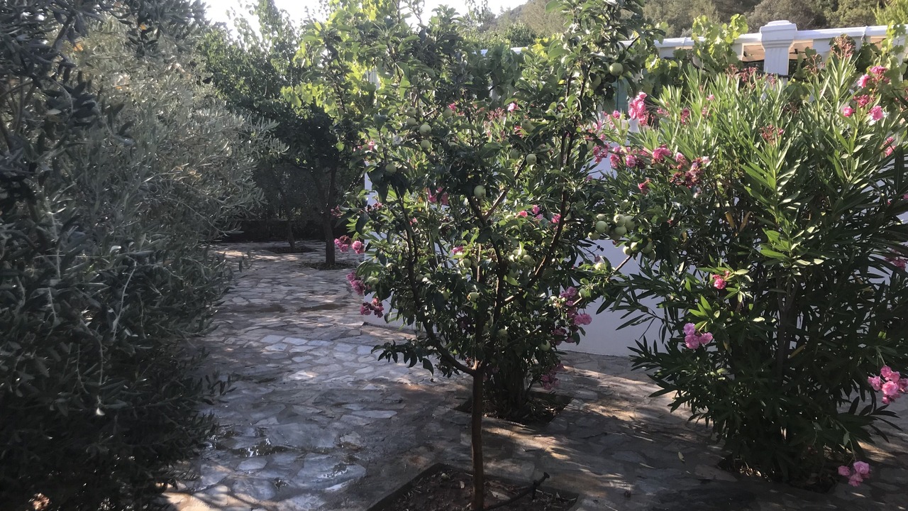 Photo of Outdoor in Uzumlu