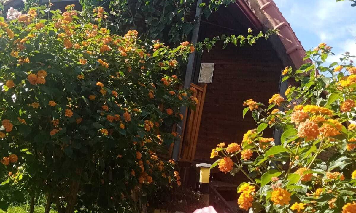 Photo of Outdoor in Demre