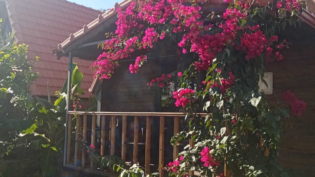 Photo of Outdoor in Demre