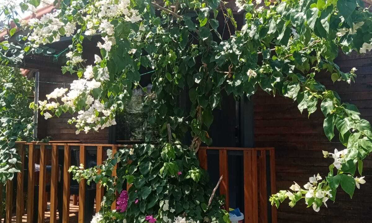 Photo of Outdoor in Demre