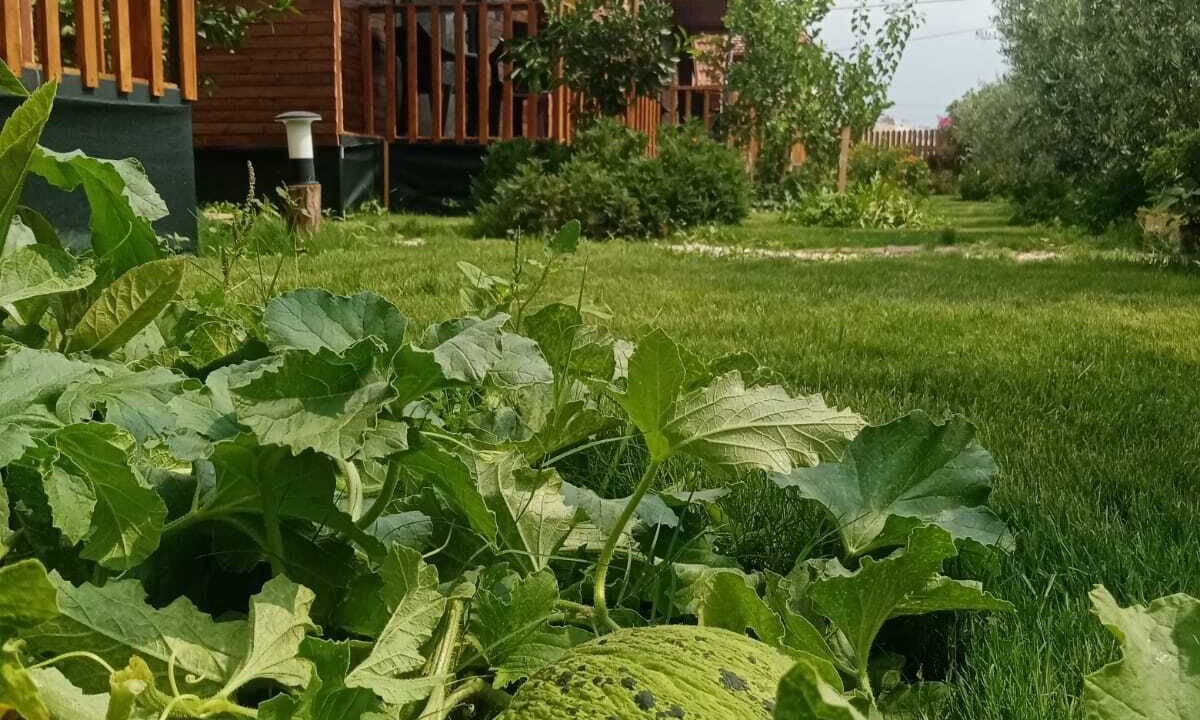 Photo of Outdoor in Demre