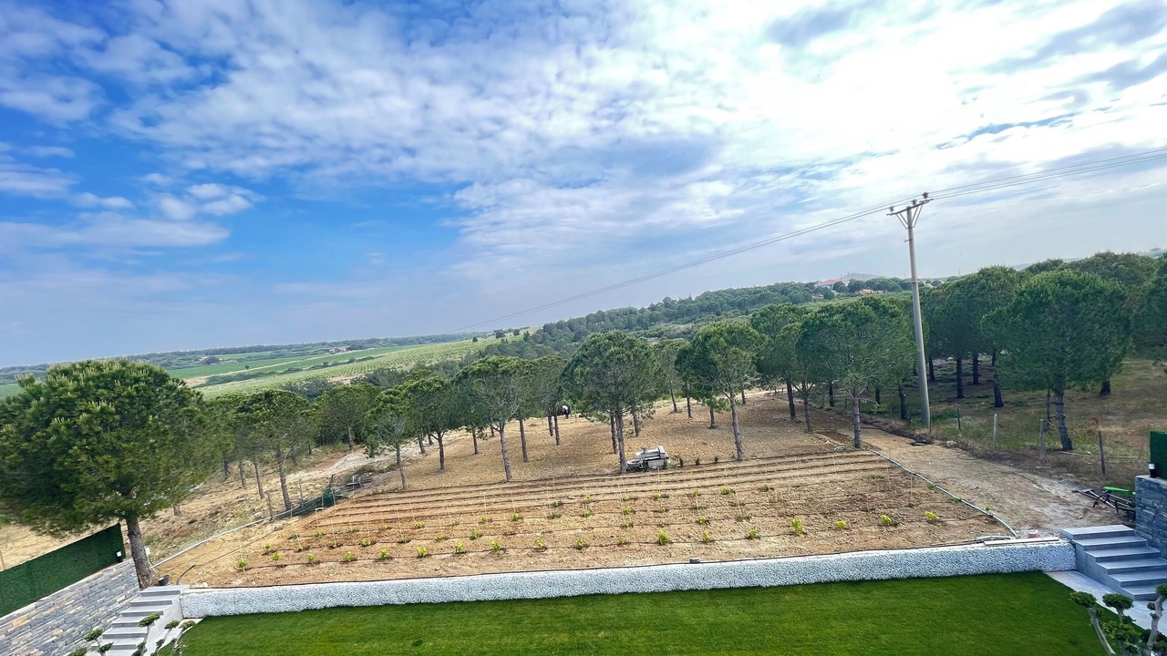 Photo of Others in Bozcaada