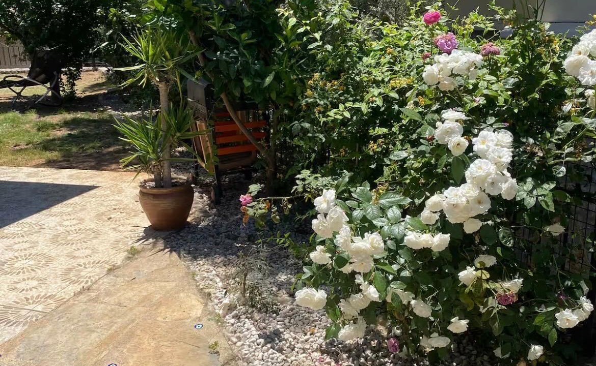 Photo of Outdoor in Oludeniz