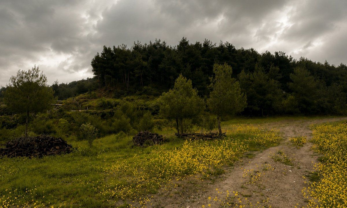 Photo of Others in Iznik
