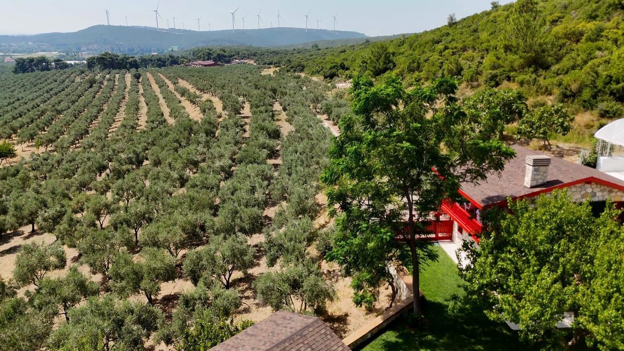 Photo of Outdoor in Seferihisar