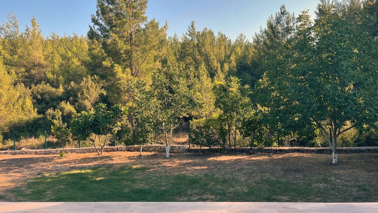 Photo of Outdoor in Milas