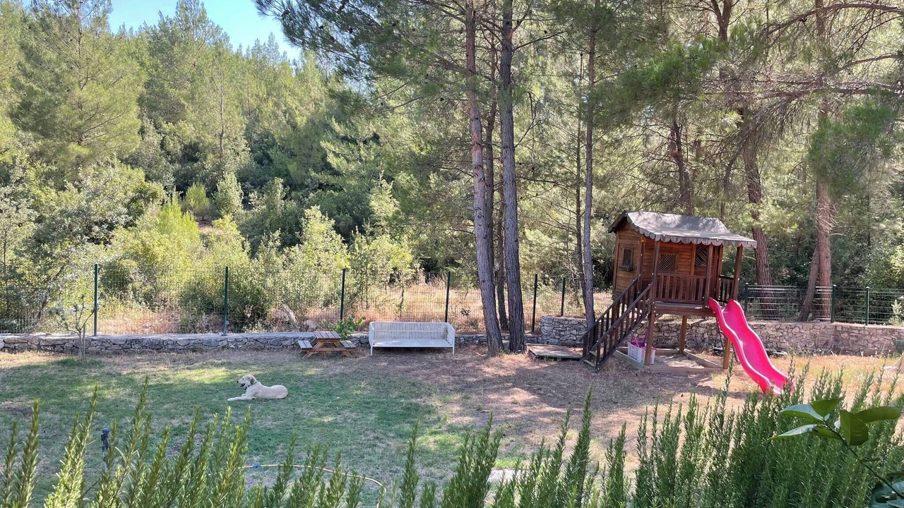 Photo of Outdoor in Milas