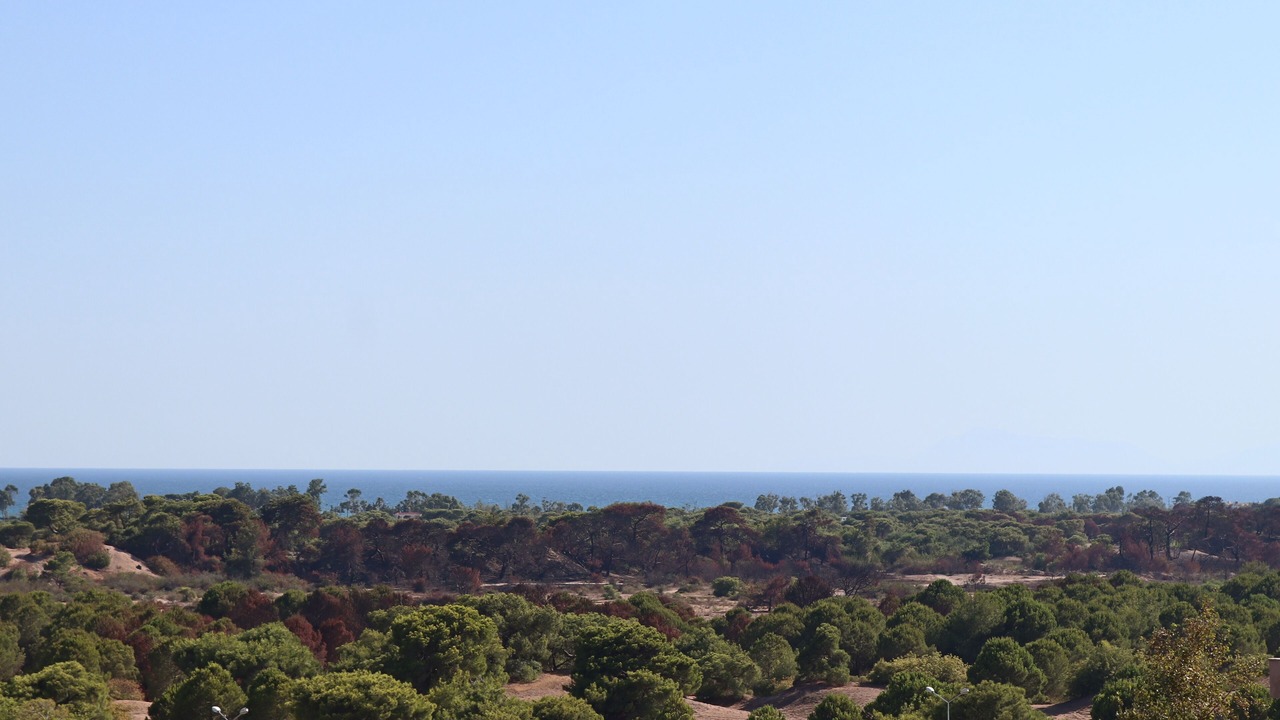 Photo of Outdoor in Lara
