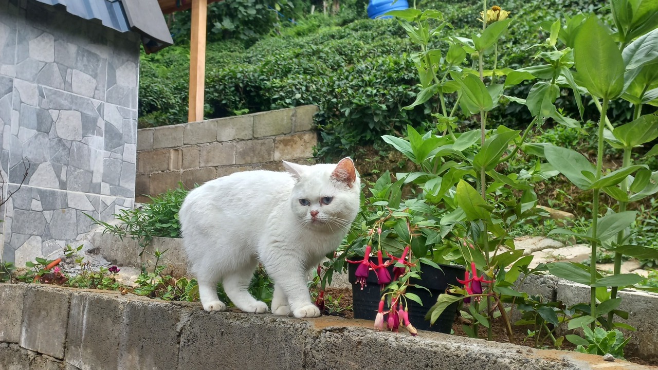 Photo of Outdoor in Sarp