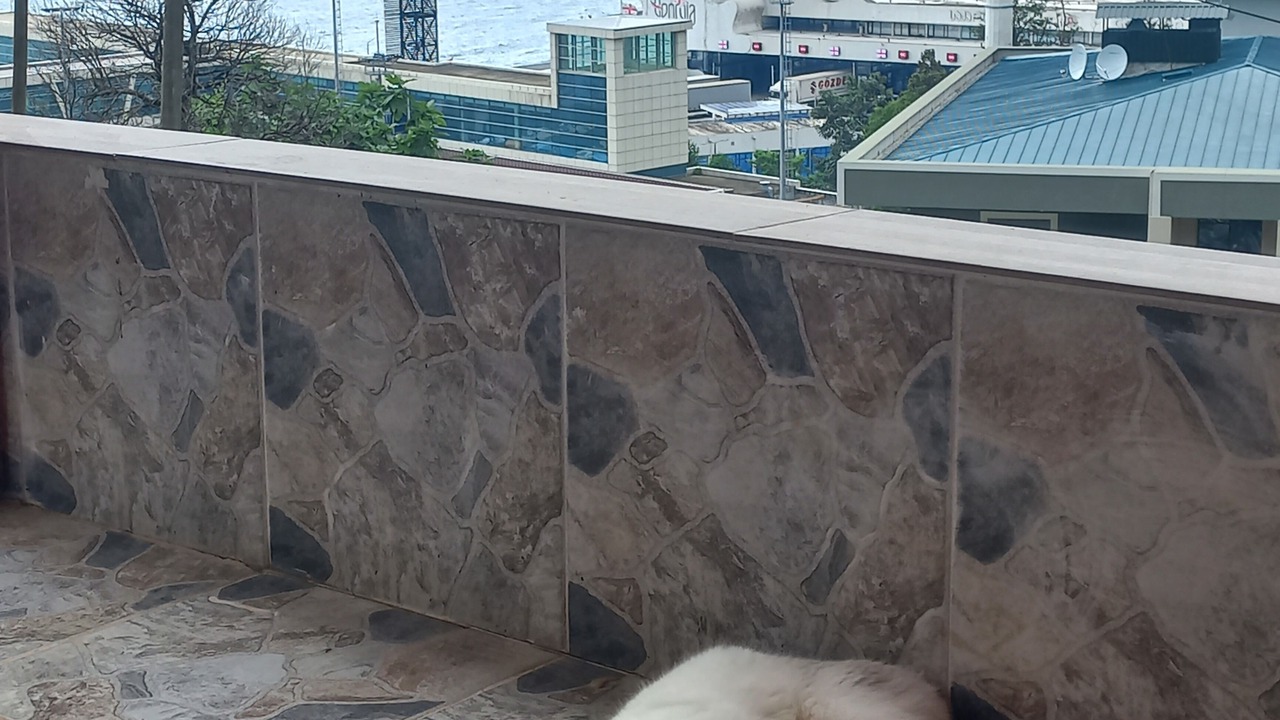 Photo of Outdoor in Sarp