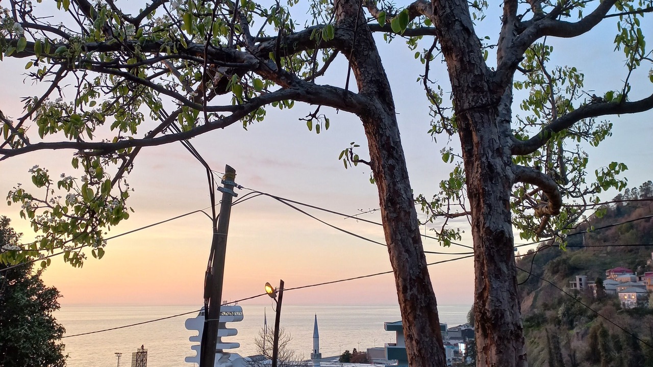 Photo of Outdoor in Sarp