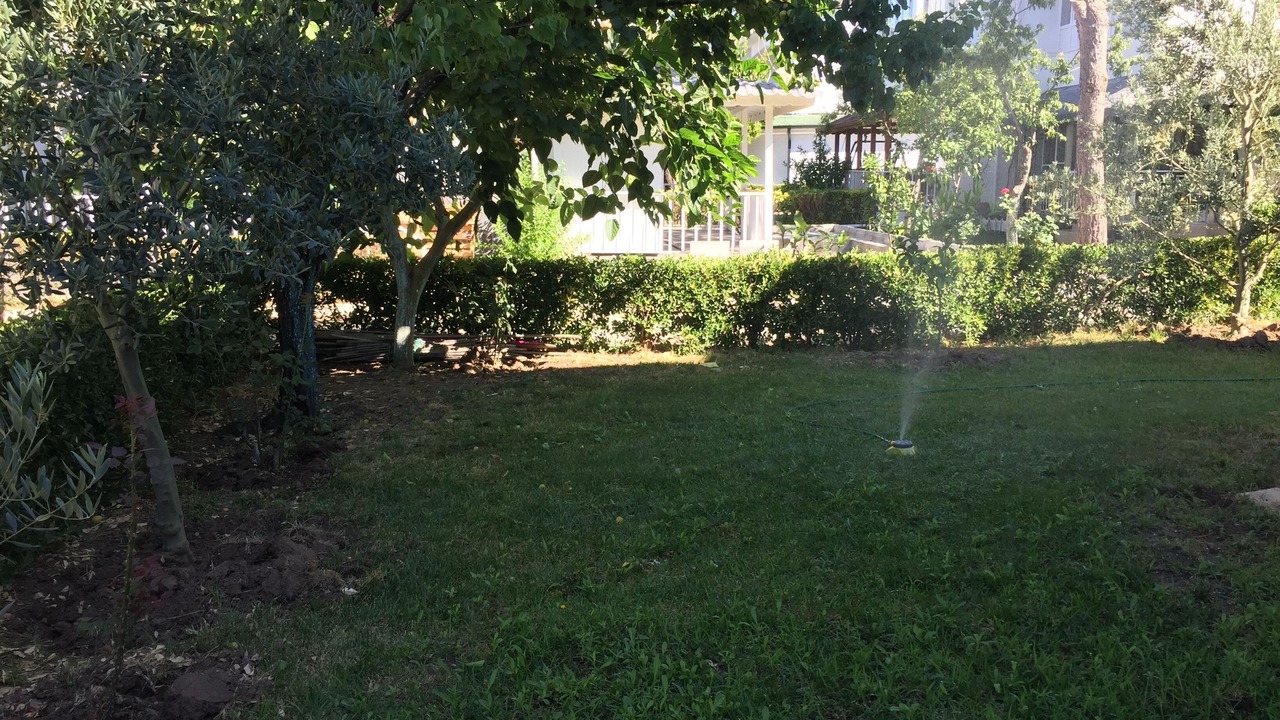 Photo of Outdoor in Dikili