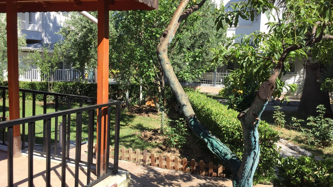 Photo of Outdoor in Dikili