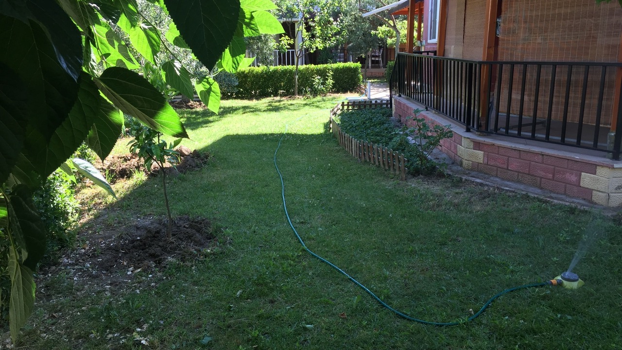 Photo of Outdoor in Dikili