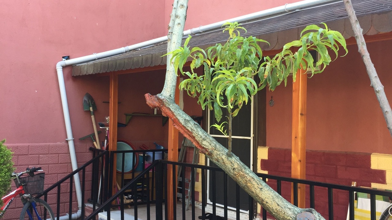 Photo of Outdoor in Dikili