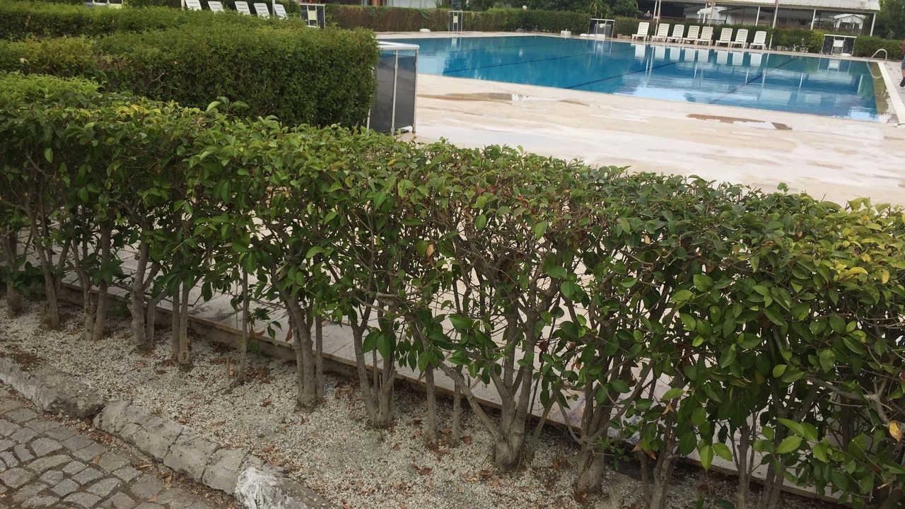 Photo of Outdoor in Dikili