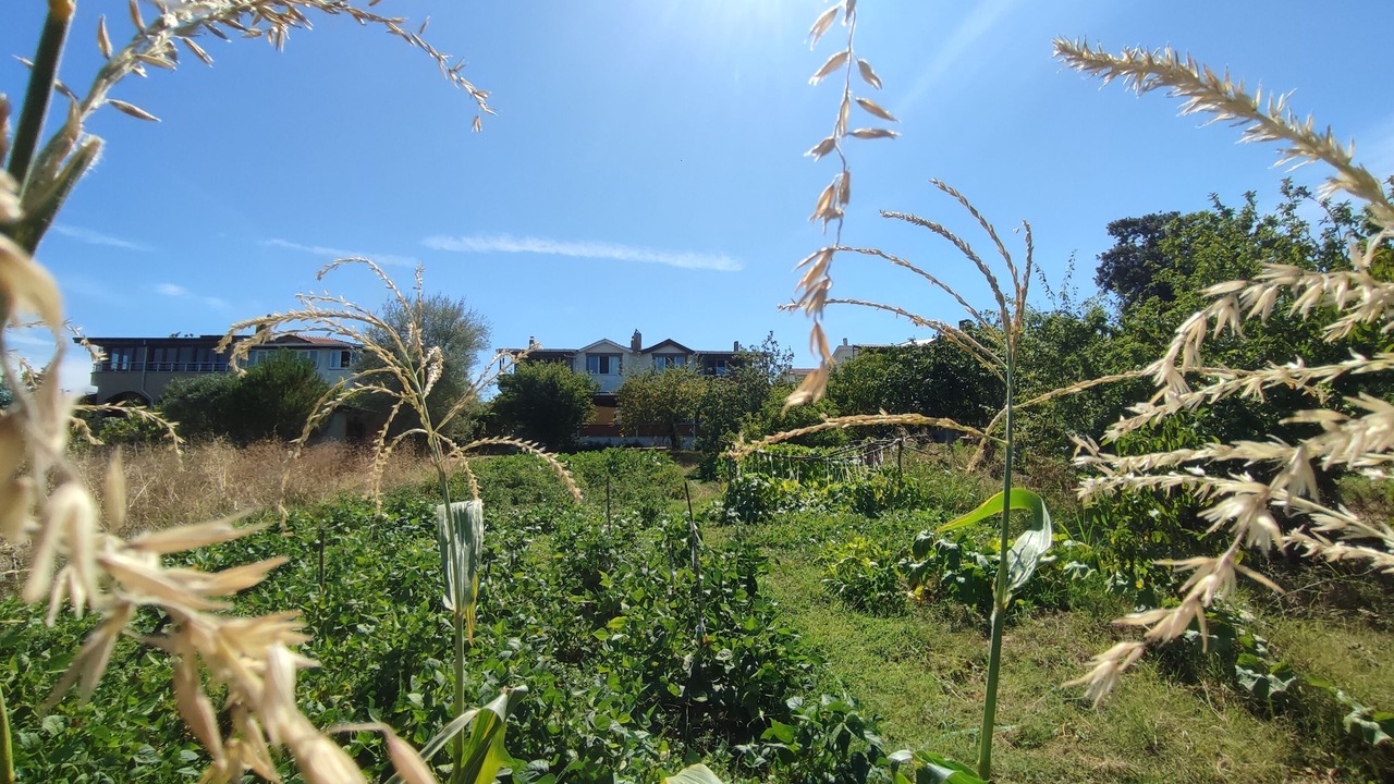 Photo of Outdoor in Demirkoy