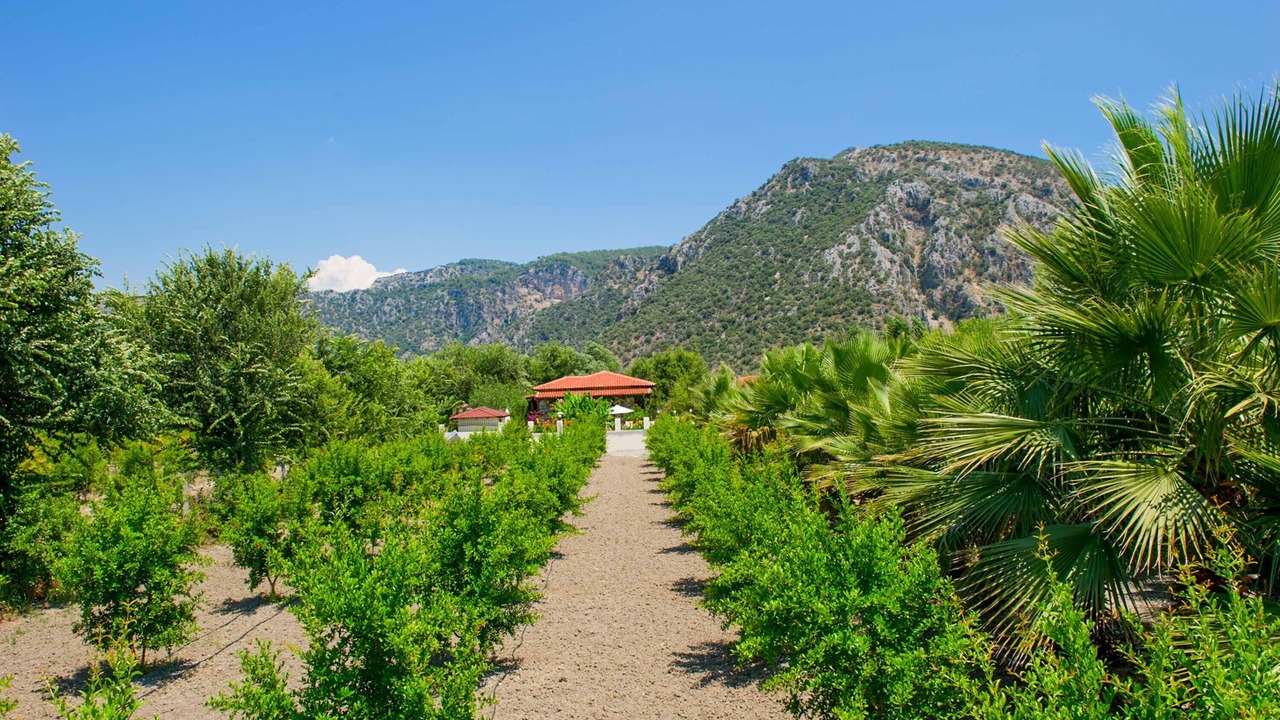 Photo of Outdoor in Dalyan
