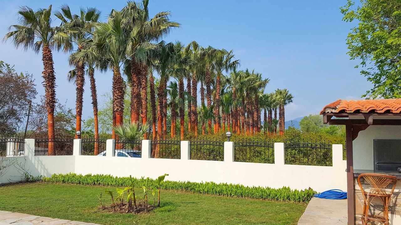 Photo of Outdoor in Dalyan